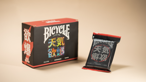 Bicycle Chilly Weather Blind Pack (Half Brick) Playing Cards - Image 6